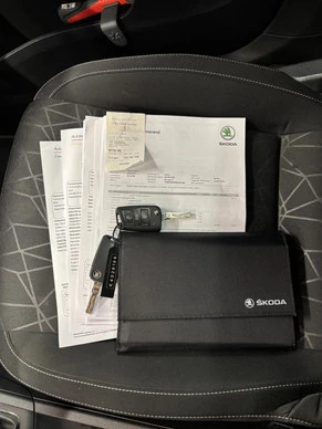 Škoda Rapid - Afbeelding 21 van 21