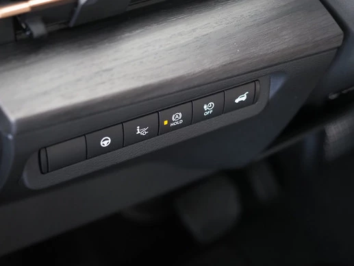 Nissan ARIYA - Afbeelding 16 van 30