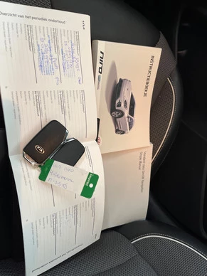 Kia Niro EV - Afbeelding 14 van 14