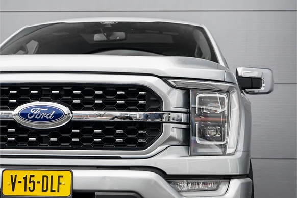 Ford F-150 - Afbeelding 13 van 30