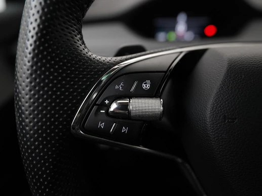 Škoda Enyaq iV - Afbeelding 8 van 30