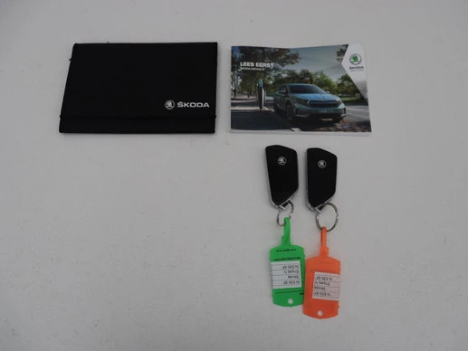 Škoda Enyaq iV - Afbeelding 15 van 30