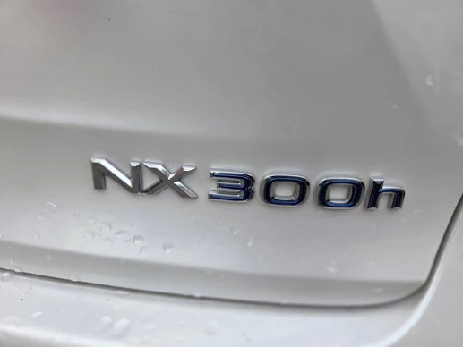 Lexus NX - Afbeelding 7 van 30