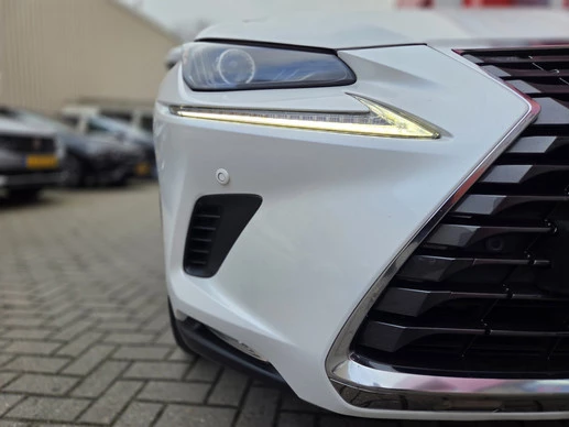 Lexus NX - Afbeelding 14 van 30