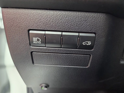 Lexus NX - Afbeelding 19 van 30