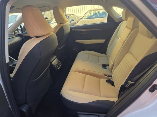 Lexus NX - Afbeelding 11 van 30