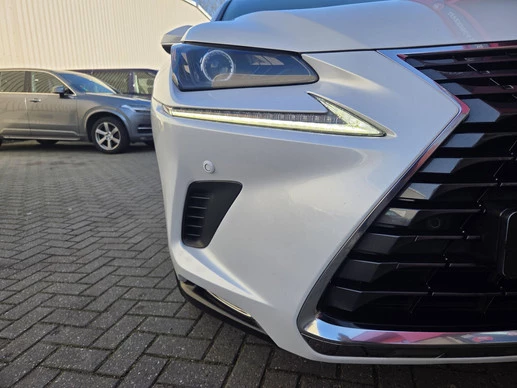 Lexus NX - Afbeelding 14 van 30
