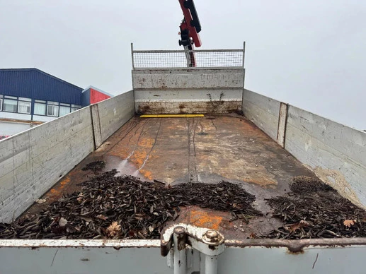 Iveco Stralis - Afbeelding 6 van 30