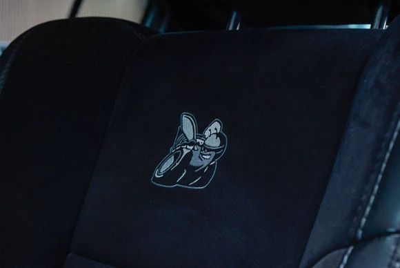 Dodge Charger - Afbeelding 18 van 30