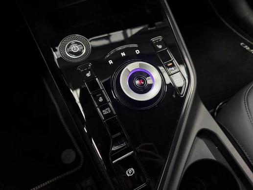 Kia Niro EV - Afbeelding 9 van 30