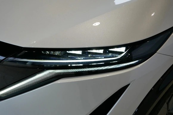 Nissan ARIYA - Afbeelding 30 van 30