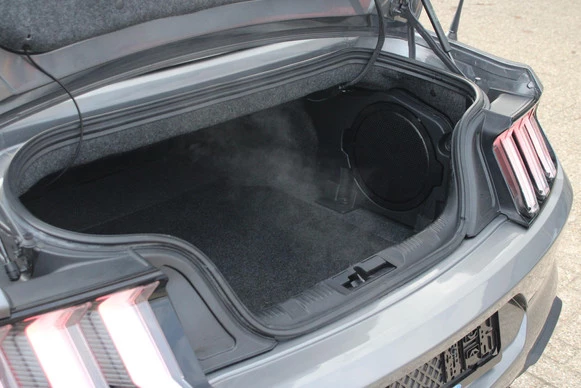 Ford Mustang - Afbeelding 16 van 30