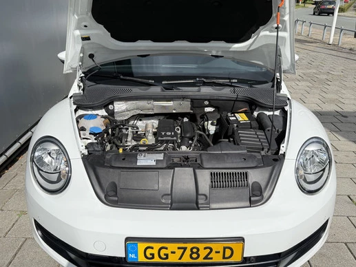 Volkswagen Beetle - Afbeelding 22 van 30
