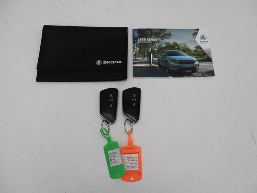 Škoda Enyaq iV - Afbeelding 11 van 30