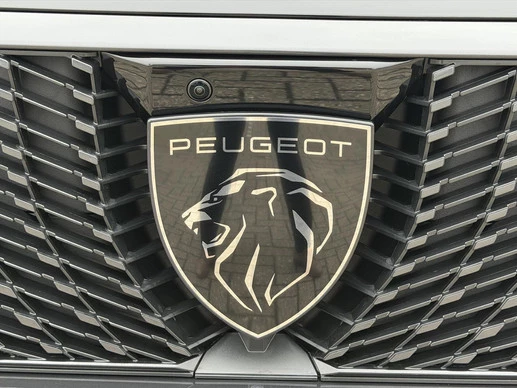 Peugeot e-3008 - Afbeelding 14 van 30