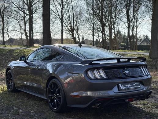 Ford Mustang - Afbeelding 4 van 15