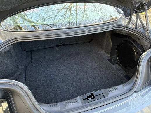 Ford Mustang - Afbeelding 8 van 15