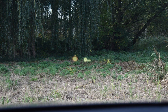 BMW X2 - Afbeelding 18 van 30