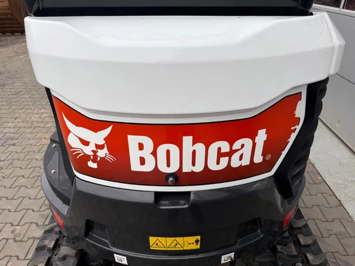 Bobcat  - Afbeelding 8 van 29