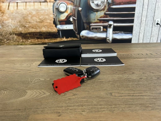 MG EHS - Afbeelding 5 van 30