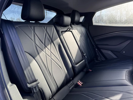 Ford Mustang Mach-E - Afbeelding 12 van 21