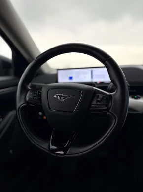 Ford Mustang Mach-E - Afbeelding 16 van 30
