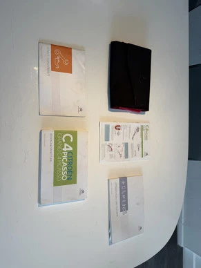 Citroën C4 Picasso - Afbeelding 10 van 30