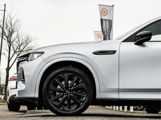 Mazda CX-60 - Afbeelding 25 van 30