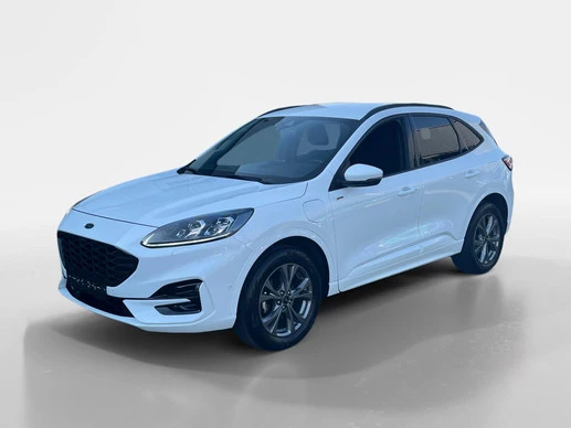 Ford Kuga - Afbeelding 1 van 30