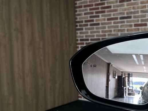 Opel Ampera-e - Afbeelding 12 van 30