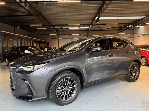 Lexus NX - Afbeelding 22 van 30