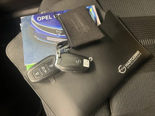 Opel Grandland - Afbeelding 20 van 22