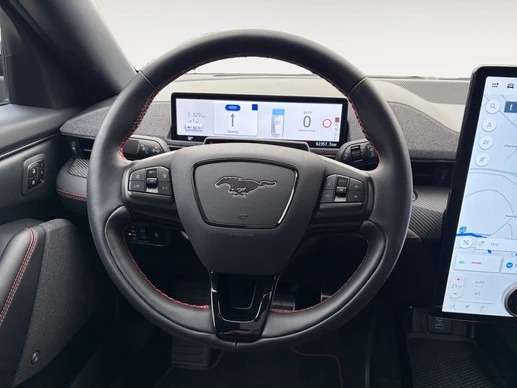 Ford Mustang Mach-E - Afbeelding 11 van 30