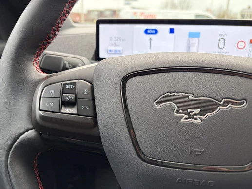 Ford Mustang Mach-E - Afbeelding 12 van 30