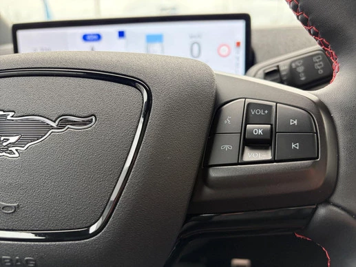 Ford Mustang Mach-E - Afbeelding 13 van 30