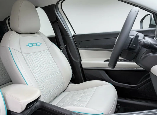 Fiat 600 - Afbeelding 28 van 30