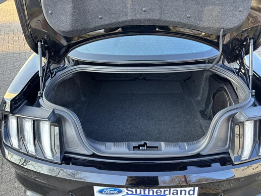 Ford Mustang - Afbeelding 9 van 23