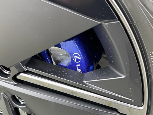 Lexus RZ - Afbeelding 11 van 30