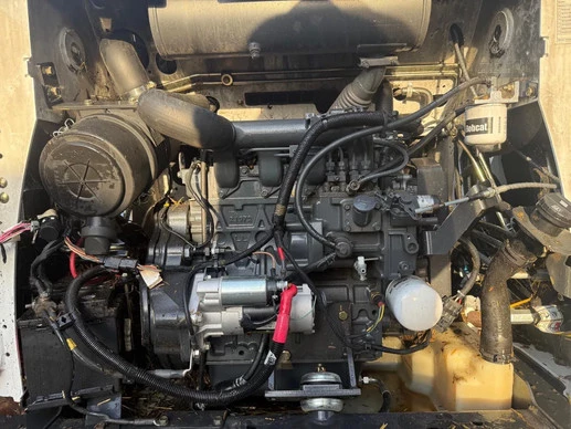 Bobcat  - Afbeelding 10 van 25