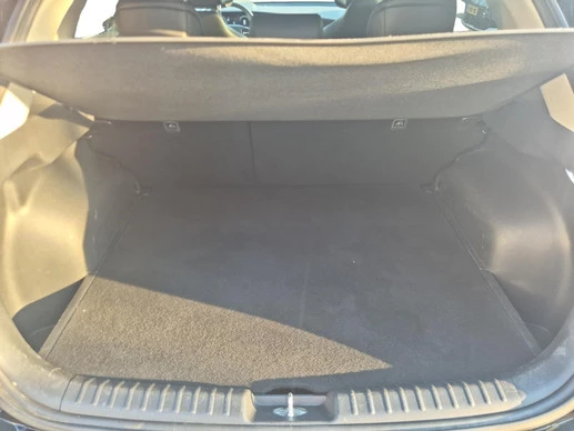 Kia Niro EV - Afbeelding 22 van 25