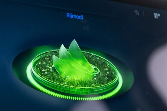 Ford Focus - Afbeelding 23 van 30