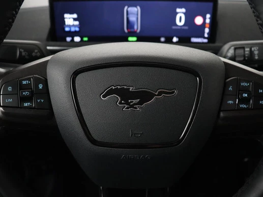 Ford Mustang Mach-E - Afbeelding 11 van 30