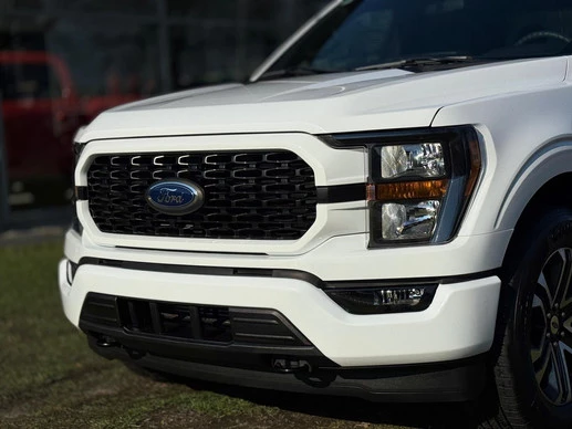 Ford F-150 - Afbeelding 3 van 19