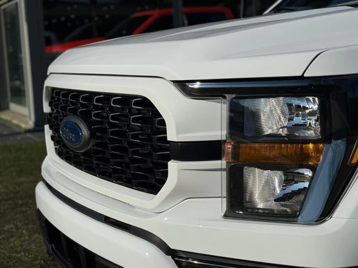 Ford F-150 - Afbeelding 5 van 19