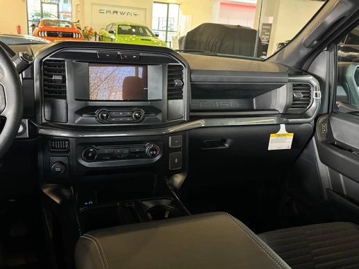 Ford F-150 - Afbeelding 10 van 19