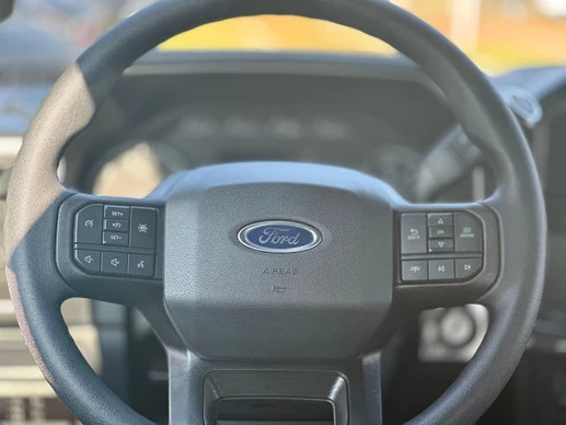 Ford F-150 - Afbeelding 12 van 19