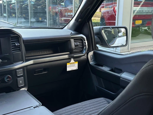 Ford F-150 - Afbeelding 15 van 19