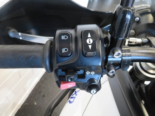 Triumph Tiger - Afbeelding 12 van 14