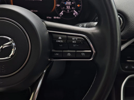 Mazda CX-60 - Afbeelding 25 van 30