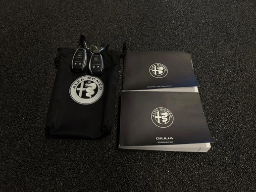 Alfa Romeo Giulia - Afbeelding 24 van 26